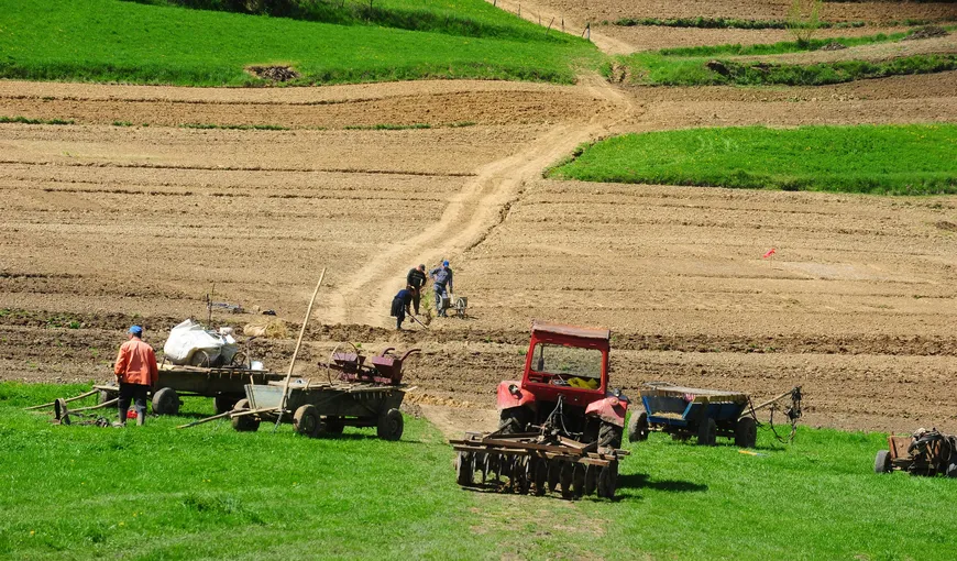 Parlamentarii analizează legea care reglementează tranzacţiile cu terenuri agricole