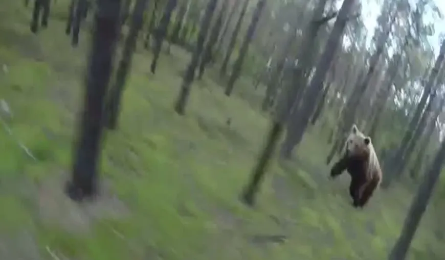 IMAGINI INCREDIBILE. Un biciclist, alergat de un urs prin pădure VIDEO