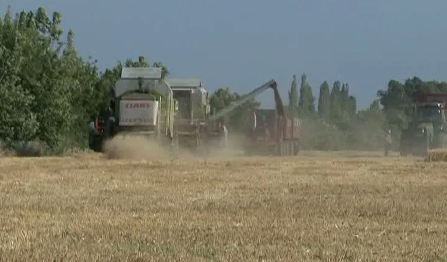 Guvernul României, anunţ important pentu agricultori
