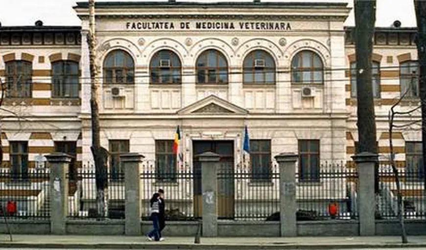 Profesor la Facultatea de Medicină Veterinară din Bucureşti, trimis în judecată pentru luare de mită