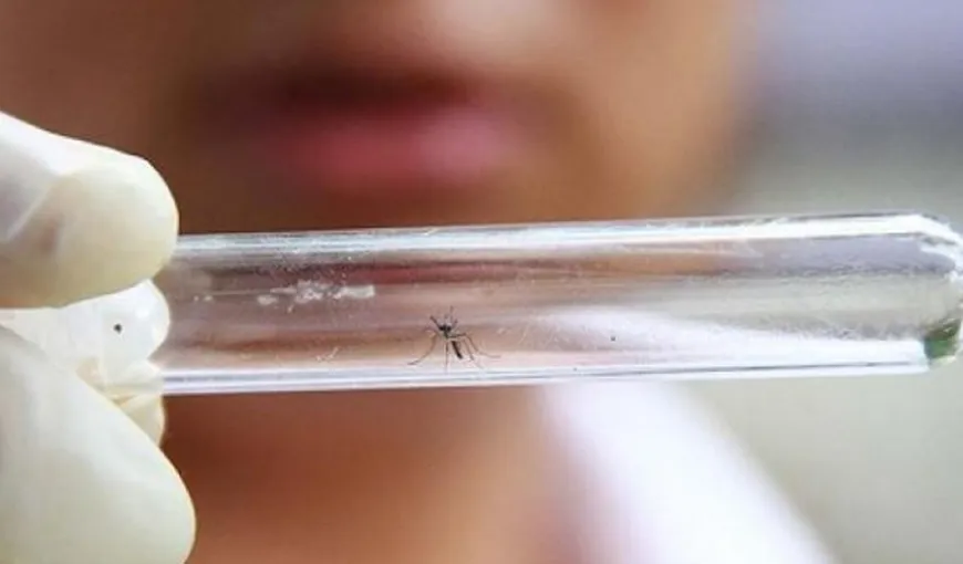 Autorităţile din Singapore au confirmat încă 26 de cazuri de transmitere locală a virusului Zika