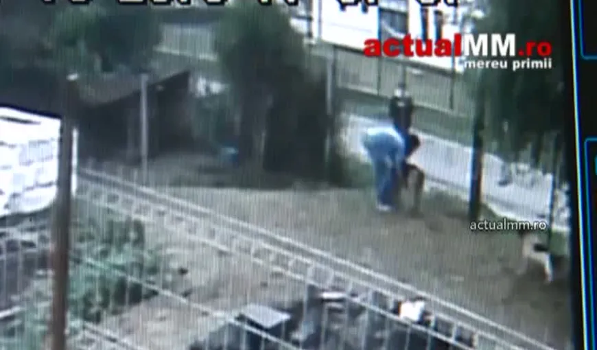 Scene uluitoare în Baia Mare. O femeie a vrut să fure un câine din adăpostul de animale VIDEO