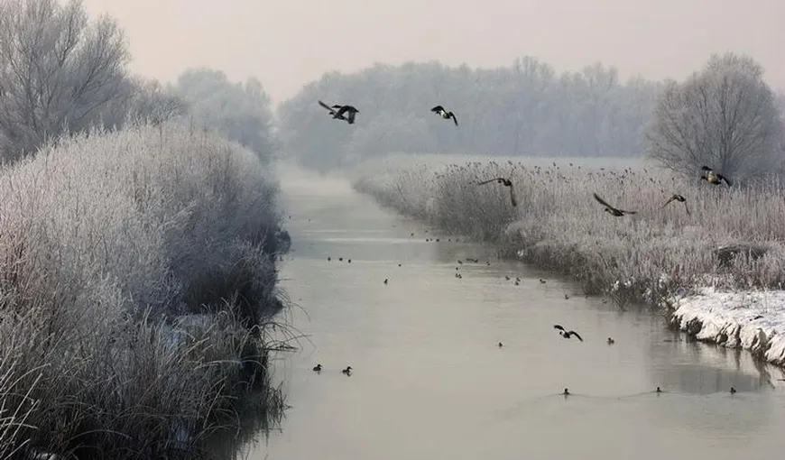 Turiştii, invitaţi în Delta Dunării să petreacă de câte două ori sărbătorile de iarnă