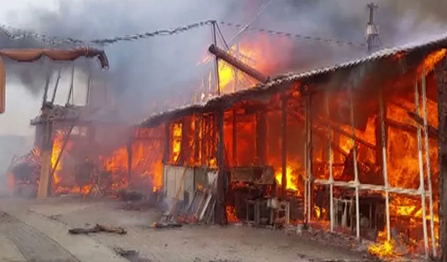 Incendiu violent la un centru de prelucrare a lemnului din Braşov. Zeci de pompieri, chemaţi la faţa locului
