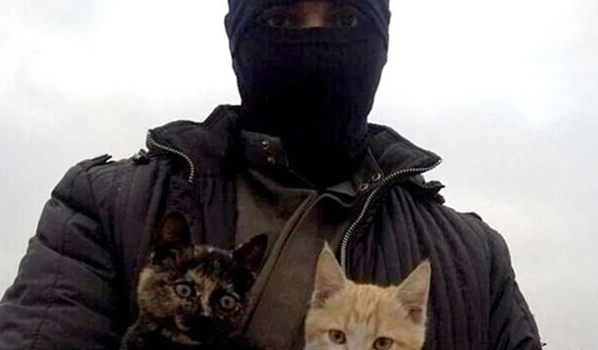 ISIS interzice prin lege deţinerea pisicilor în locuinţe