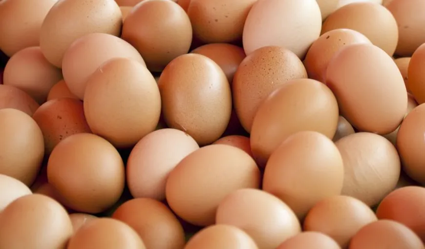 DSV Covasna, anunţ alarmant: jumătate din cantitatea de ouă cu salmonella a fost comercializată
