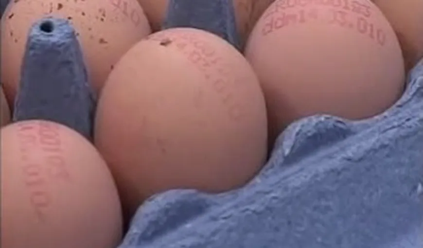 PERICOL. Ouă cu salmonella, retrase de pe piaţă în Covasna
