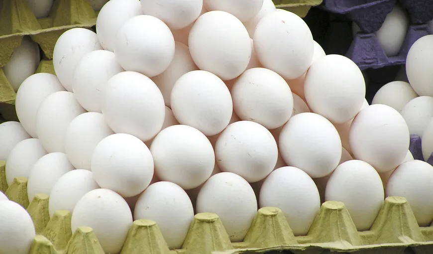 DSVSA Covasna: Alerta privind ouăle cu Salmonella nu se confirmă, acestea vor fi repuse în vânzare