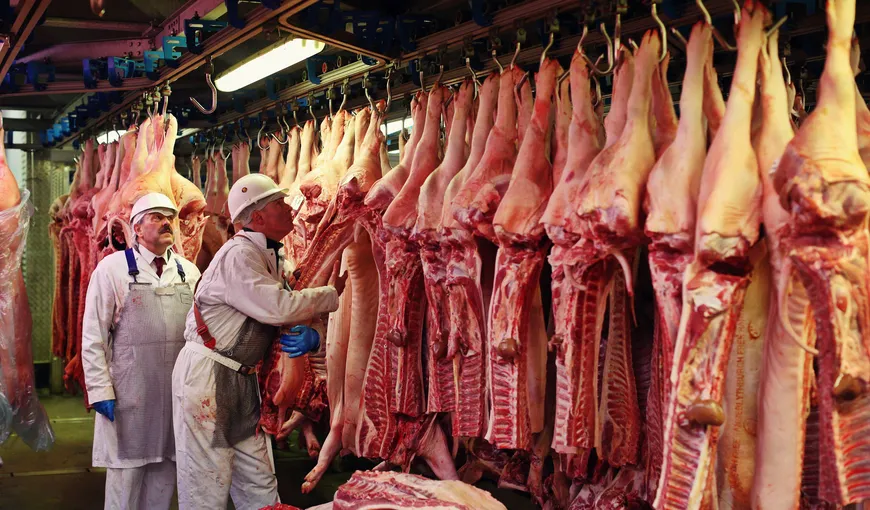 ATENŢIE de unde cumpăraţi carne de porc! ALERTĂ de pestă porcină, la graniţa cu România