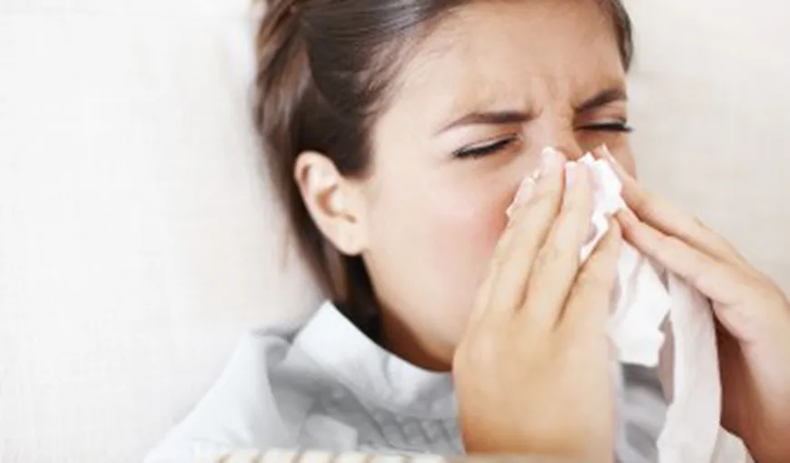 Surse neştiute de alergie din casa ta