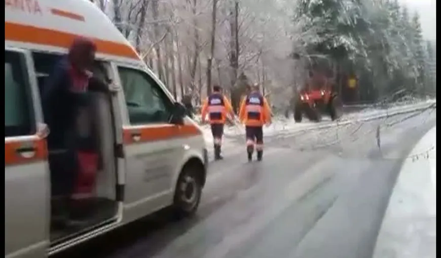 Drumuri înzăpezite în Maramureş. O ambulanţă în misiune, blocată din cauza unui copac care a căzut pe drum VIDEO