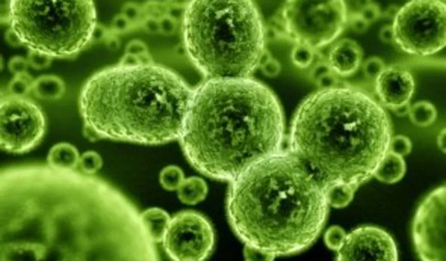 Alertă medicală! O superbacterie rezistentă la antibiotice se răspândeşte cu repeziciune în spitalele din Europa