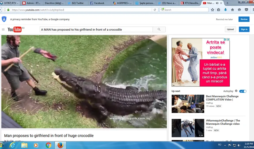 Martorul reptilă. Un bărbat şi-a cerut iubita de soţie în faţa unui crocodil de 5 metri VIDEO