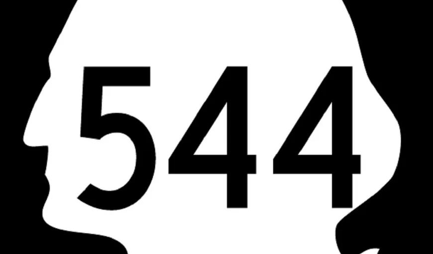 LEGENDĂ URBANĂ sau REALITATE: Ce se întâmplă dacă apelezi la 544?
