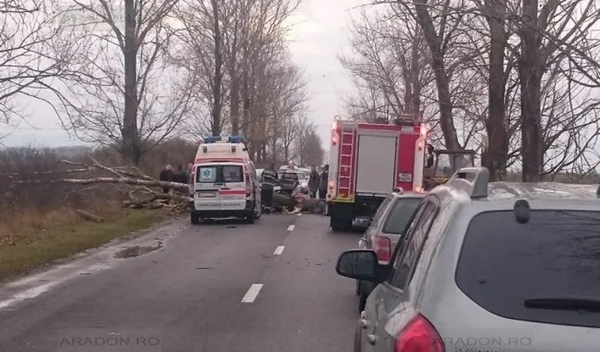 Un bărbat din Arad, în stare gravă, după ce un copac s-a prăbuşit pe maşina sa