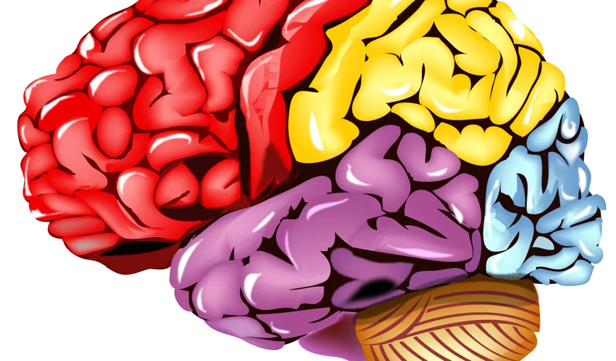 Cum să-ţi menţii creierul sănătos printr-o metodă nouă