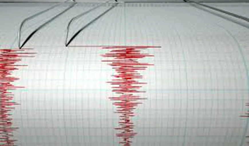 Cutremur de 3 grade pe scara Richter în judeţul Vrancea, marţi