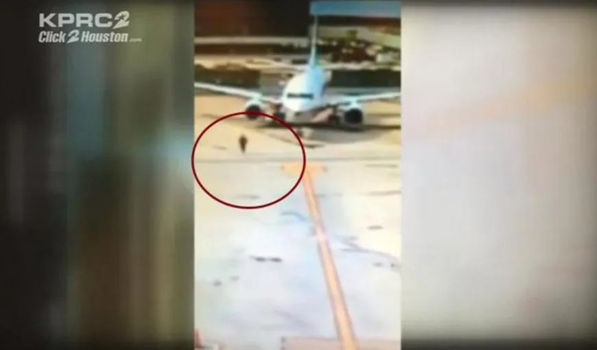 O femeie a sărit dintr-un avion în mers. Un călător a filmat scena VIDEO