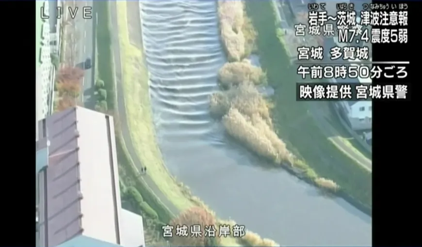 Imagini şocante din momentul cutremurului care a zguduit Japonia VIDEO