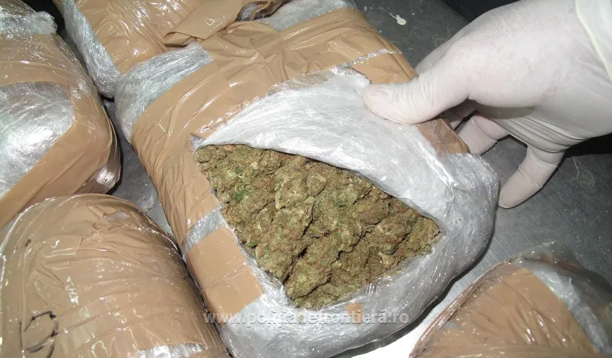 Aproape 3 kilograme de marijuana au fost găsite la Calafat, în maşina unui cetăţean bulgar