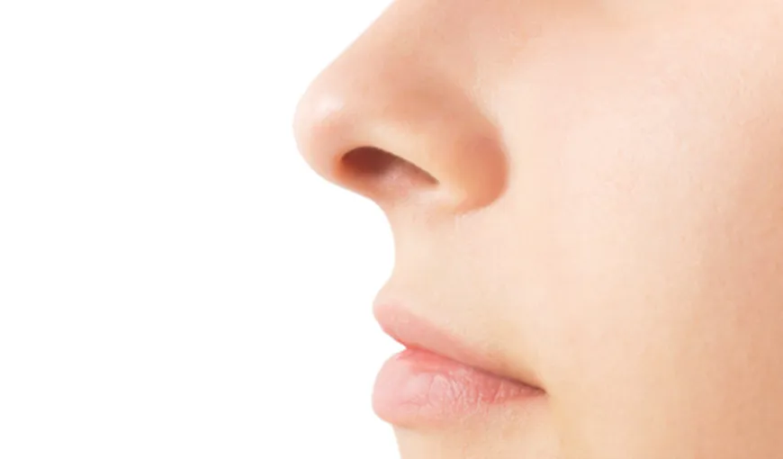 Ce spune forma nasului despre personalitatea ta