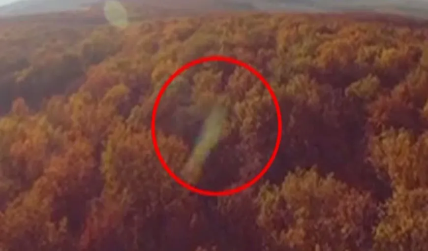 Obiect straniu filmat în Pădurea Baciu din Cluj VIDEO