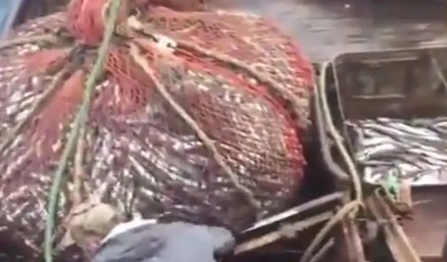 Surpriza uriaşă pe care au avut-o doi pescari ruşi. Au rămas uimiţi când au văzut ce au prins VIDEO