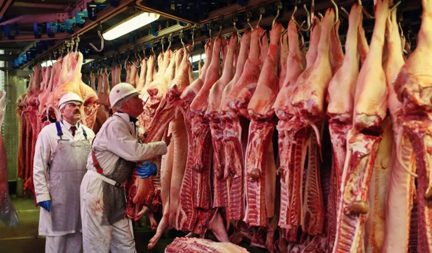 Sprijin de la Guvern pentru producătorii de carne de porc. Banii se dau până la sfârşitul anului