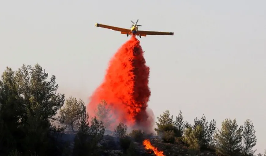 Israel: Treisprezece persoane arestate fiind suspectate că au provocat incendii de vegetaţie