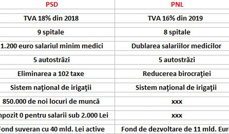 Comparaţie programe electorale PSD – PNL. Cine promite mai mult