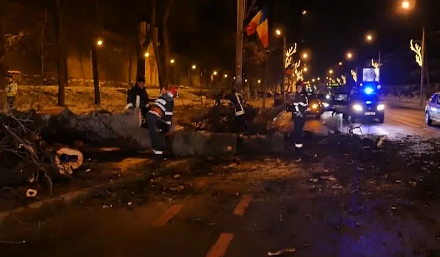 Circulaţie blocată în Sibiu, după ce un copac a căzut pe şosea VIDEO