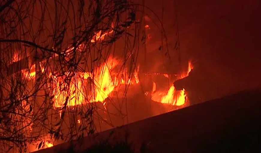 Incendiu puternic în Buzău. Un restaurant celebru s-a făcut scrum VIDEO
