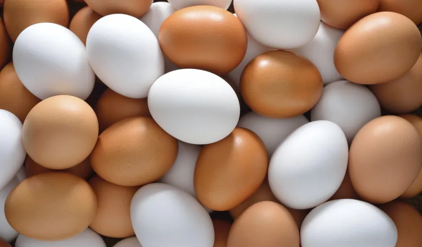 ALERTĂ de ouă infestate cu o tulpină periculoasă de salmonella. Peste 300.000 de ouă, retrase de pe piaţă