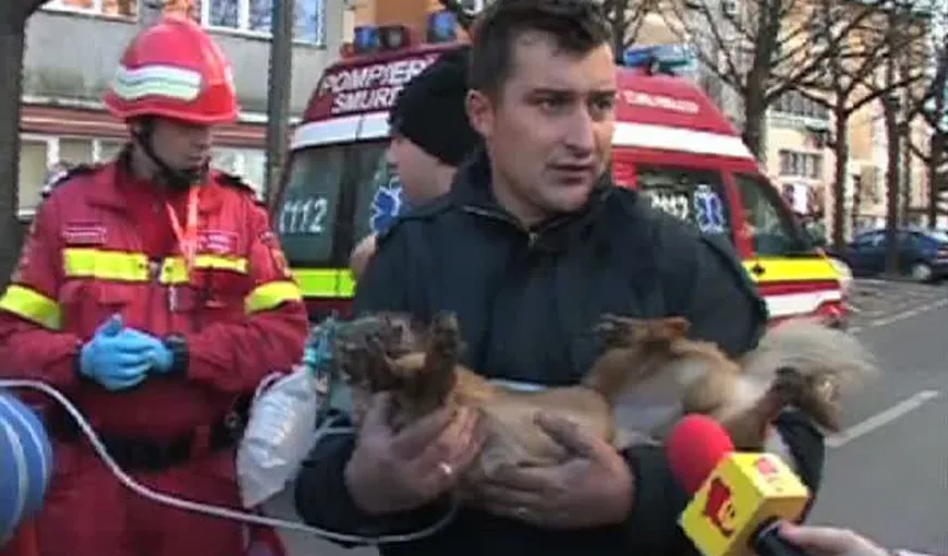 Pompierul care a resuscitat un câine prins într-un incendiu l-a vizitat pe patruped la veterinar VIDEO