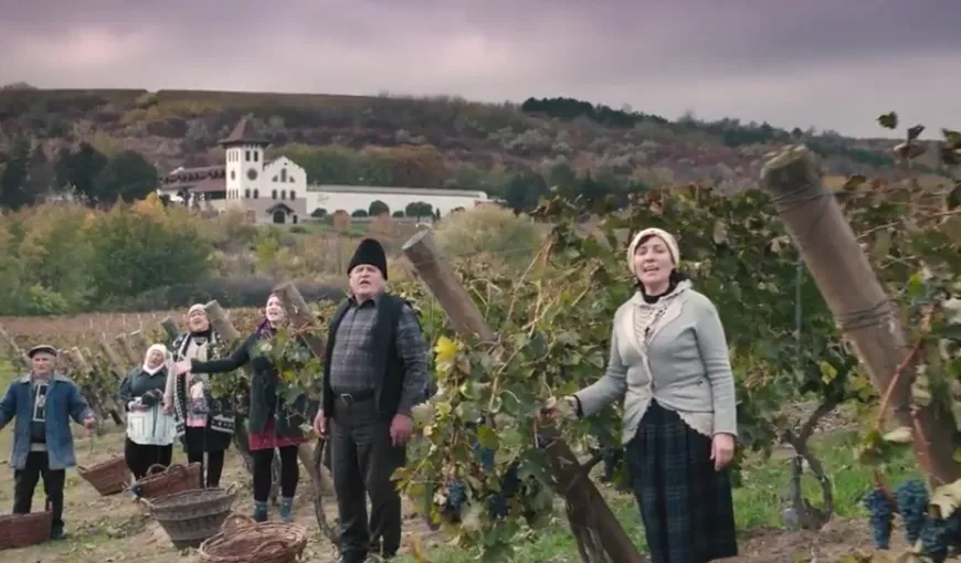 Ţăranii din Purcari, premiaţi pentru cel mai bun vin. Au lansat „We are The Champions” în variantă inedită VIDEO