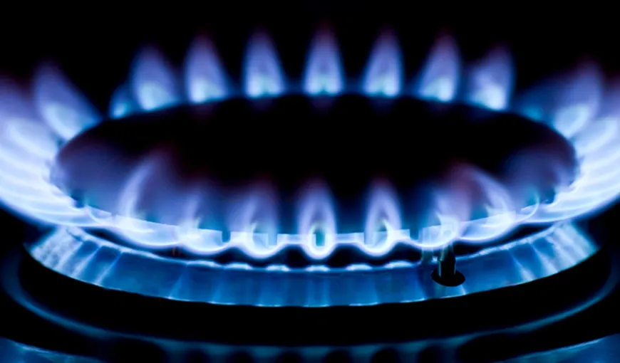 Niculae Havrileţ, ANRE: Preţul gazelor va creşte cu 5-6% de la 1 aprilie pentru consumatorii casnici