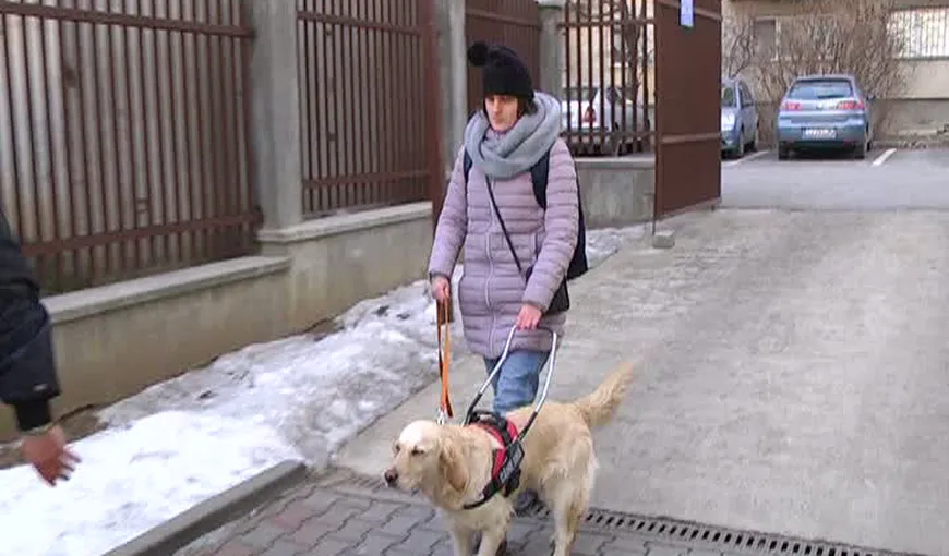 Nevăzătoare alungată din magazin din cauza câinelui însoţitor VIDEO
