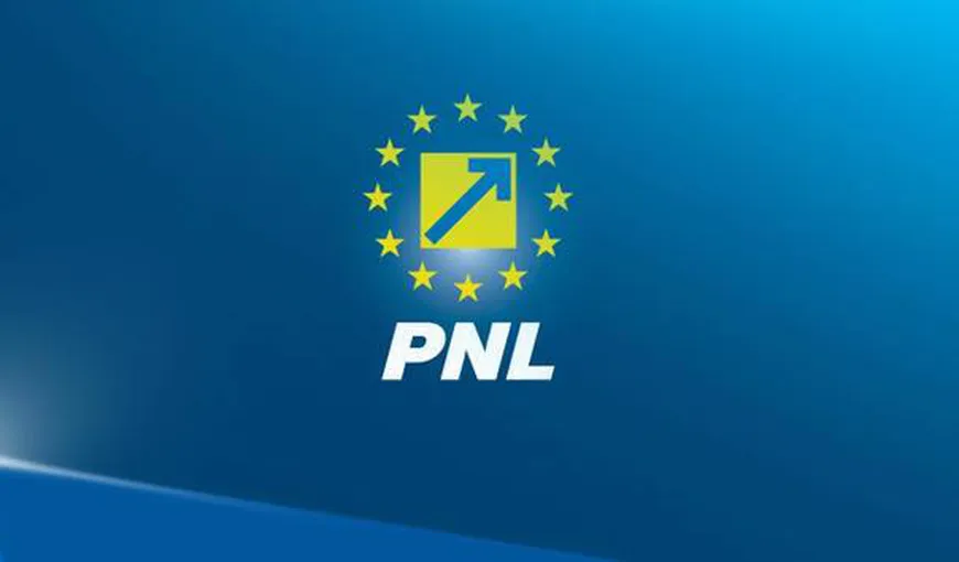 PNL cere Parlamentului declanşarea procedurilor pentru adoptarea unui punct de vedere favorabil referendumului