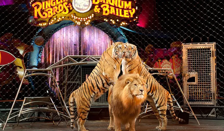 Cel mai cunoscut circ din SUA renunţă la spectacolul cu animale sălbatice, după 146 de ani de activitate