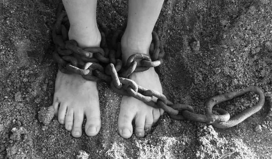 Cazurile de sclavie de la Berevoeşti: Cinci persoane au primit condamnări de până la cinci ani şi patru luni de închisoare