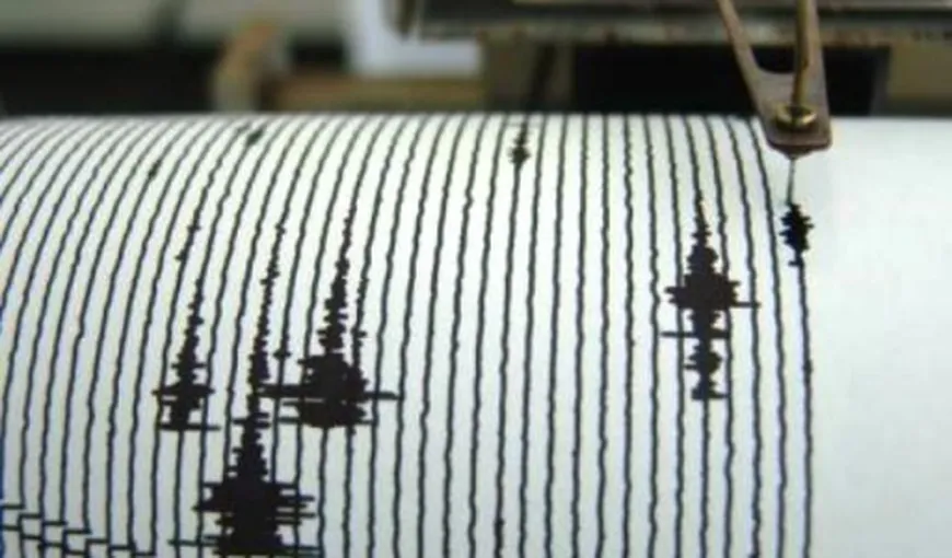 Cutremur în Vrancea. Activitate seismică intensă la început de an