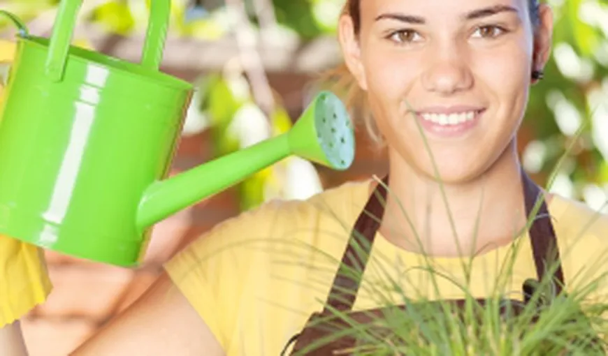 8 motive pentru care ar trebui să-ţi iei plante de apartament