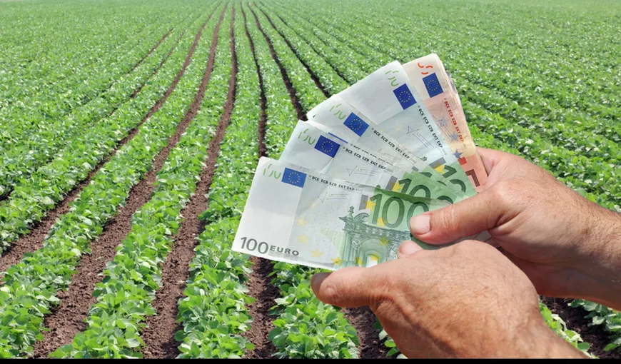 Peste 735.000 de fermieri şi-au primit avansul din subvenţia pe suprafaţă. Ferrmierii au primit 902 milioane de euro