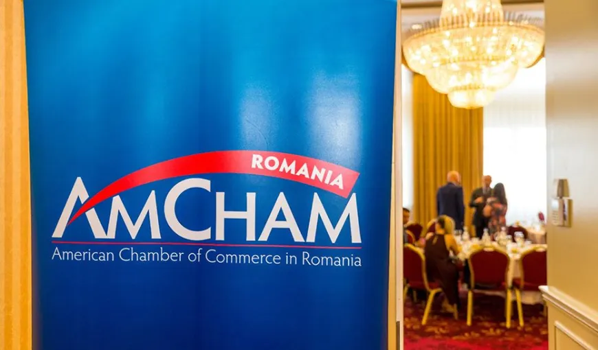 Amcham România: Diferenţa dintre veniturile bugetare şi cheltuielile mărite afectează realizarea planului de investiţii