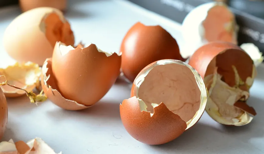 Motive pentru care nu ar trebui să arunci cojile de ou
