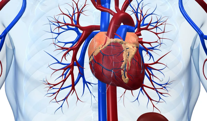 5 semne care indică o problemă cardiacă