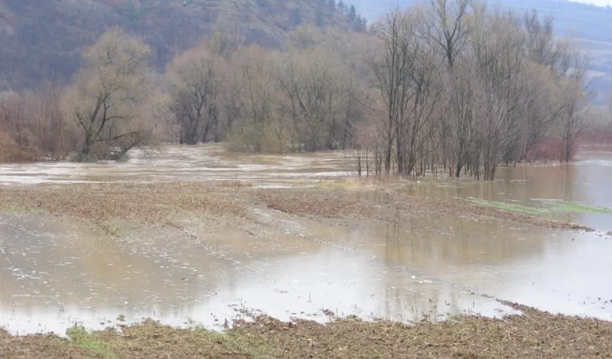 Un drum judeţean şi zeci de hectare de terenuri arabile din Arad, inundate după revărsarea râului Crişul Alb