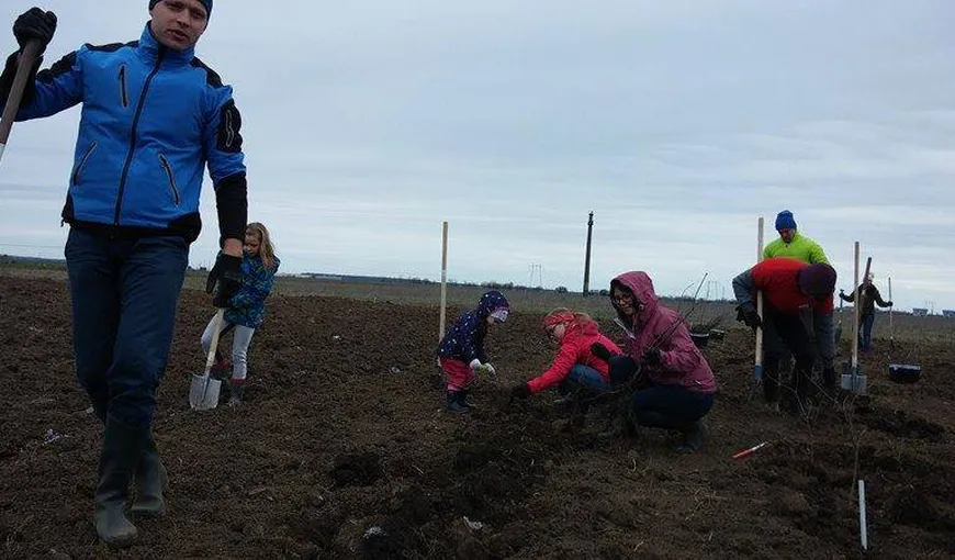 200 de voluntari plantează o pădure lângă Ploieşti