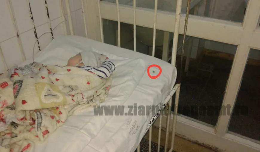 Preşedintele CJ Neamţ a cerut un raport urgent după apariţia unui filmuleţ cu gândaci la secţia de pediatrie a SJU
