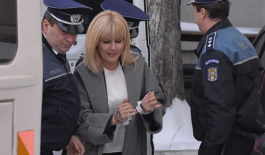 Elena Udrea, condamnată la 6 ani de închisoare cu executare, în dosarul Gala Bute. Ce pedepse au primit ceilalţi incuplaţi